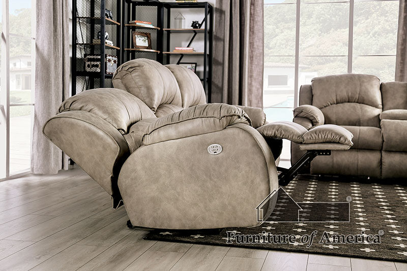 Furniture of America Elton Sofa SM7804-LV