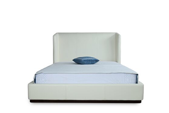 Furniture of America Riana Queen Size Bed CM7733Q | Comfyco